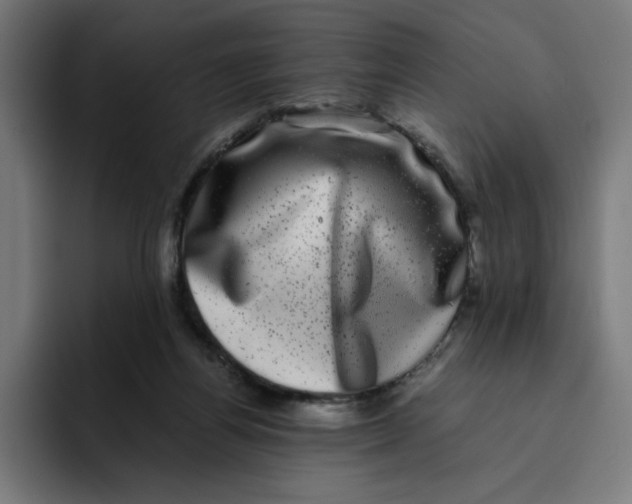X0000094820164200712071253