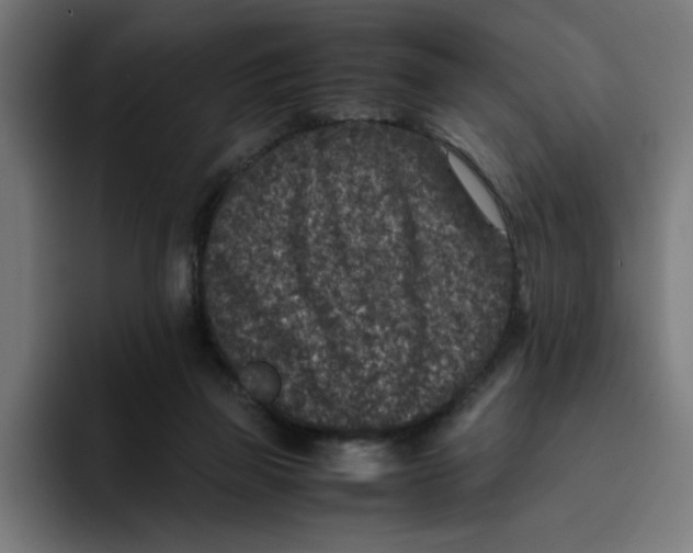 X0000094820165200712071253