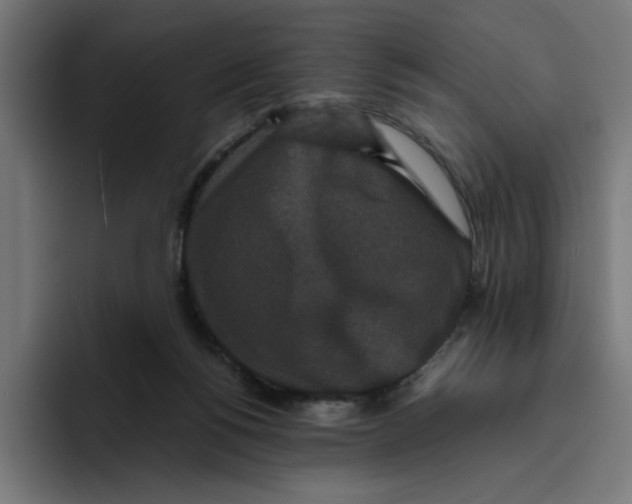 X0000094820168200712071253