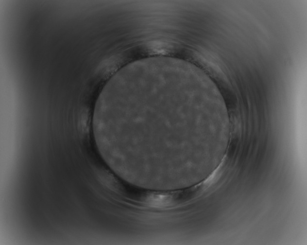 X0000094820174200712071253