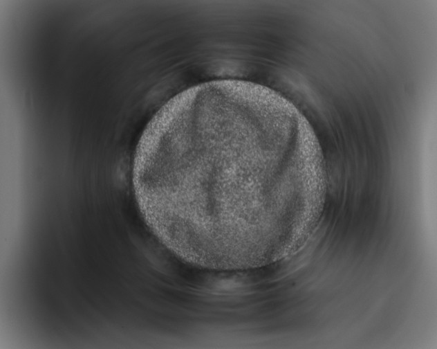X0000094820175200712071253