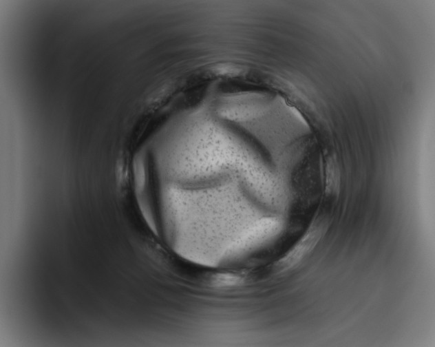 X0000094820176200712071253