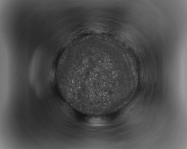 X0000094820177200712071253