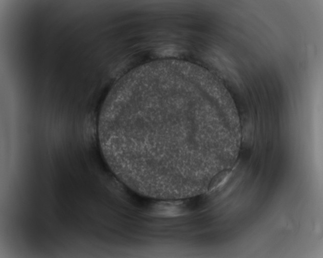 X0000094820179200712071253