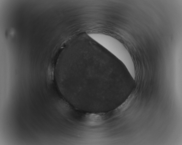 X0000094820180200712071253