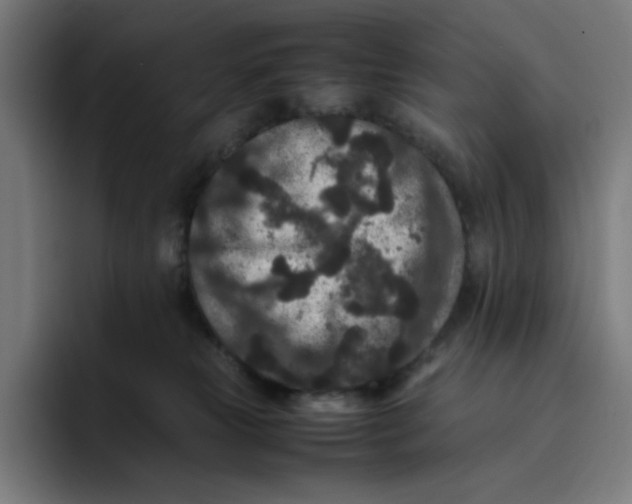 X0000094820181200712071253