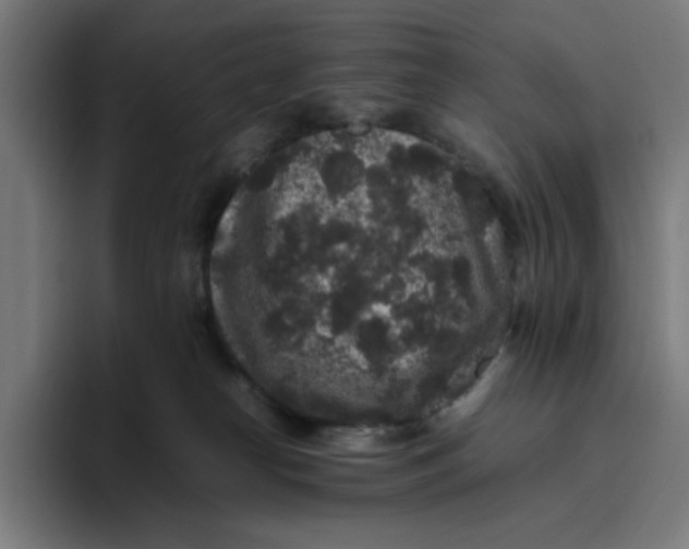X0000094820182200712071253