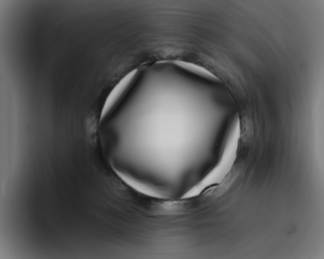 X0000094820184200712071253