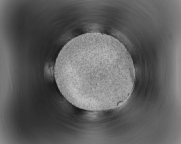 X0000094820190200712071253
