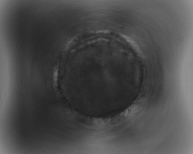 X0000094820192200712071253