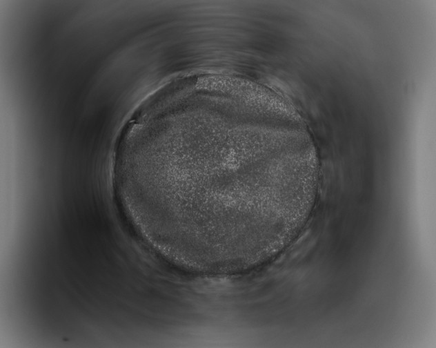 X0000094820194200712071252