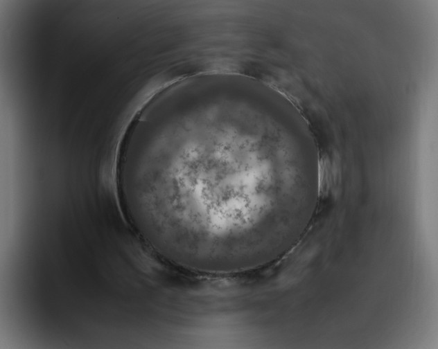 X0000094820195200712071252