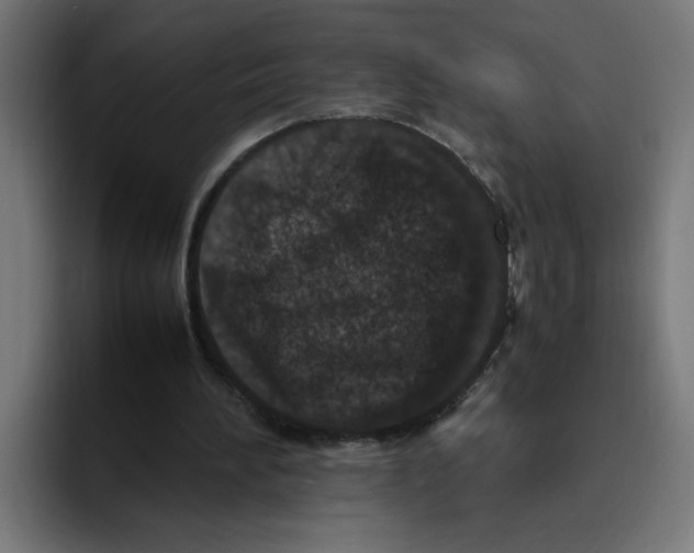 X0000094820196200712071252