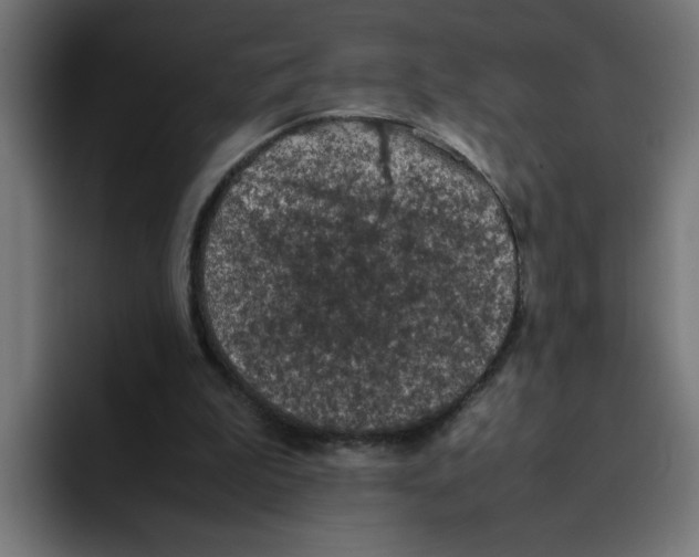 X0000094820199200712071252