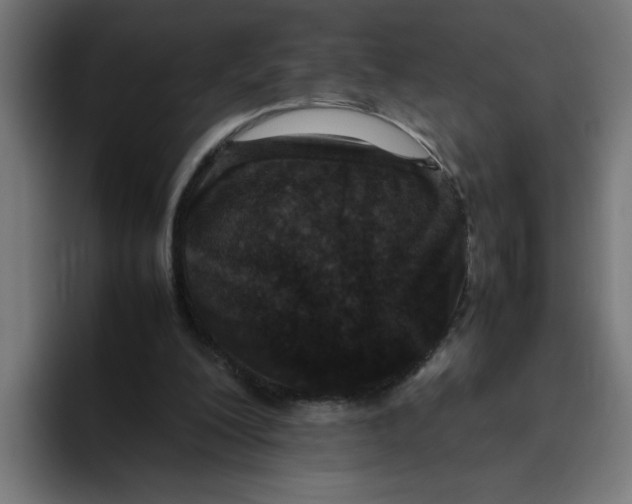 X0000094820200200712071252