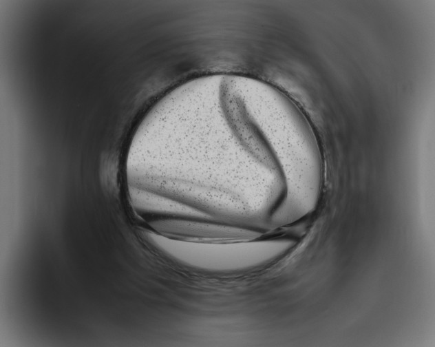 X0000094820201200712071252