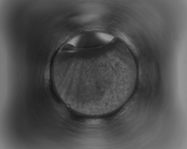 X0000094820202200712071252