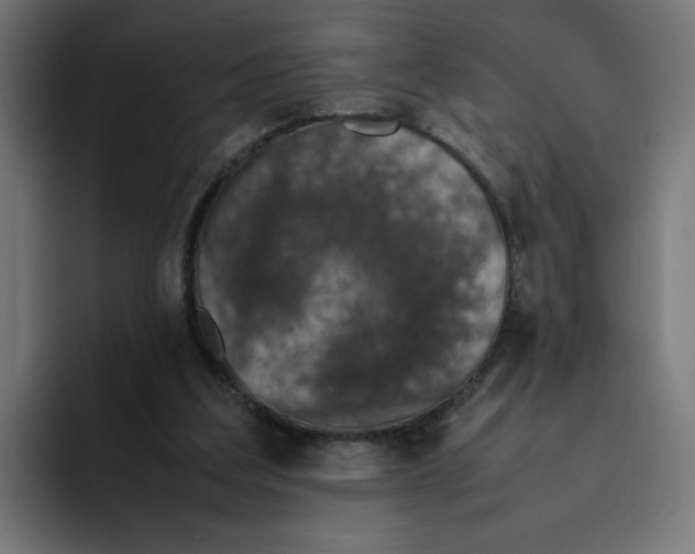 X0000094820203200712071252