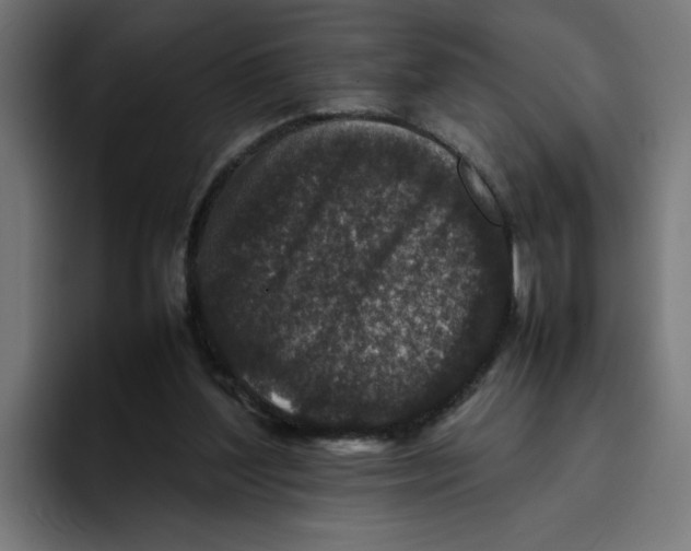 X0000094820204200712071252