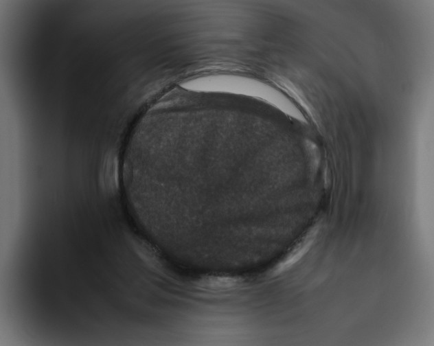 X0000094820205200712071252
