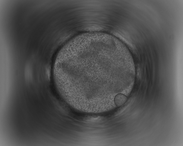 X0000094820206200712071252