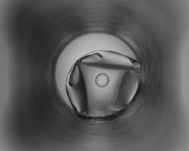 X0000094820207200712071252
