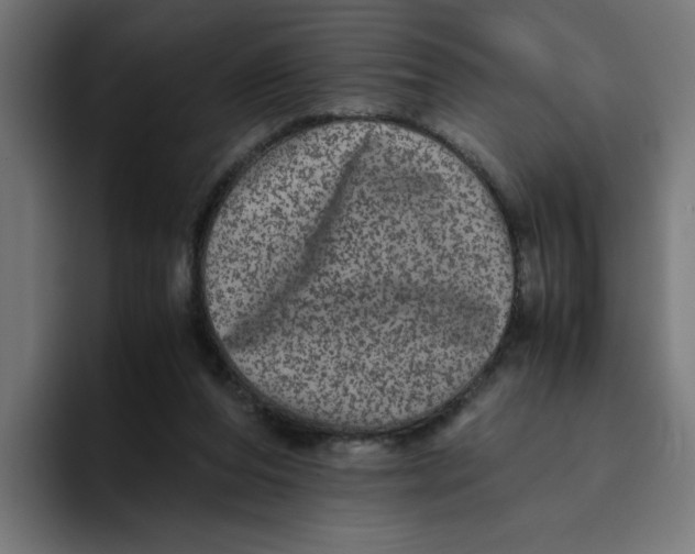 X0000094820208200712071252