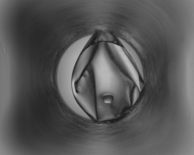 X0000094820209200712071252