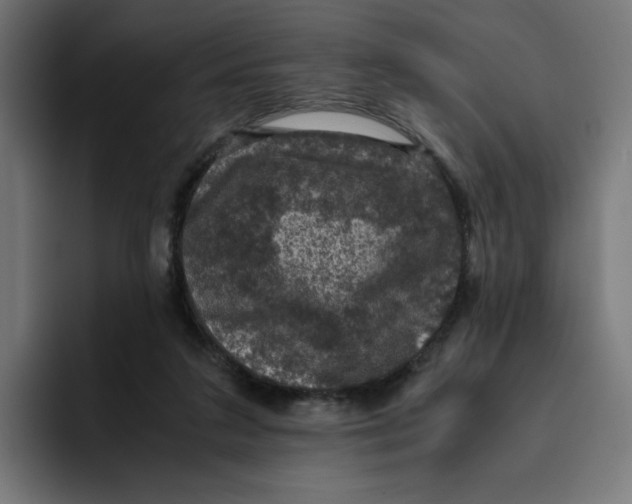 X0000094820211200712071252