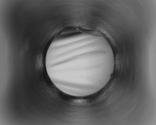 X0000094820212200712071252