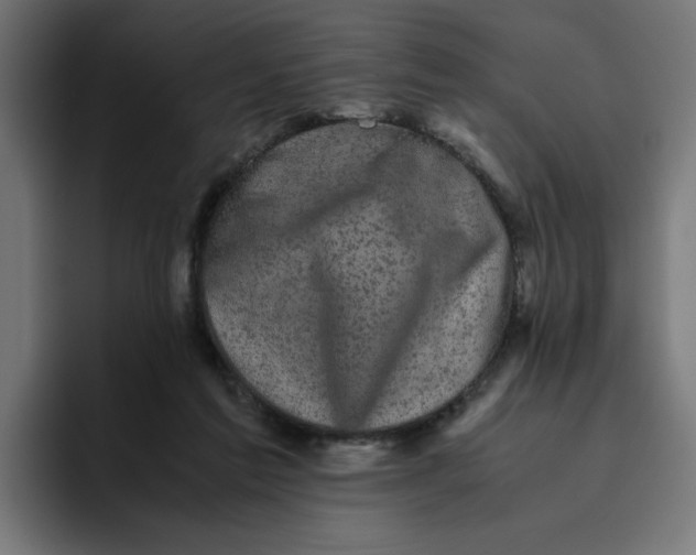 X0000094820213200712071252