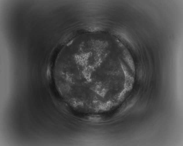 X0000094820214200712071252