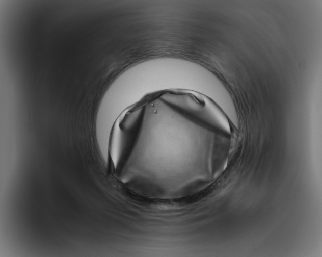 X0000094820215200712071252
