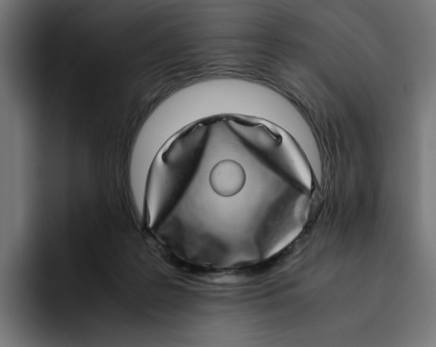X0000094820219200712071252