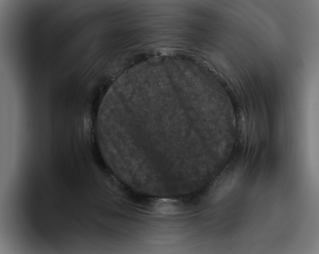 X0000094820222200712071252