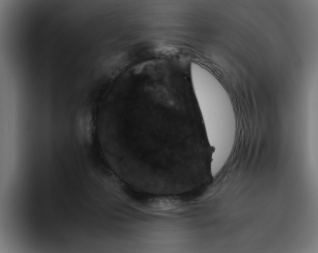 X0000094820223200712071252