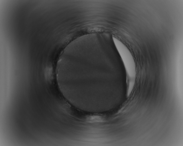 X0000094820224200712071252