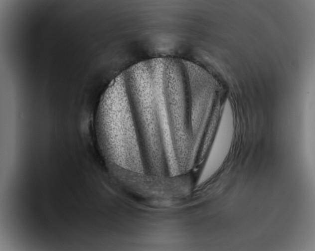 X0000094820225200712071252