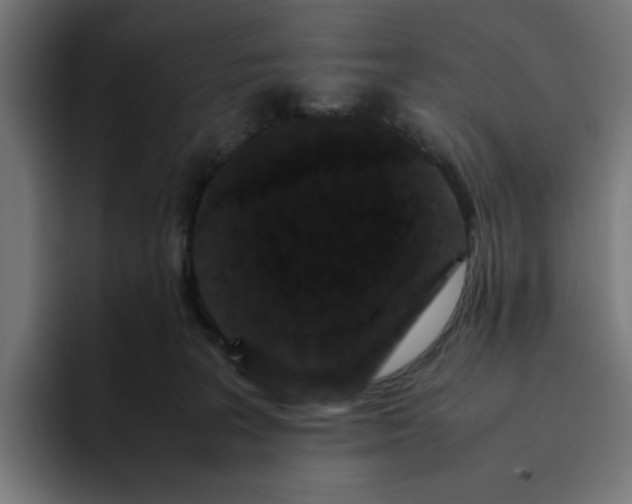 X0000094820227200712071252