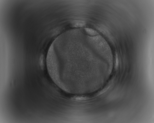 X0000094820228200712071252