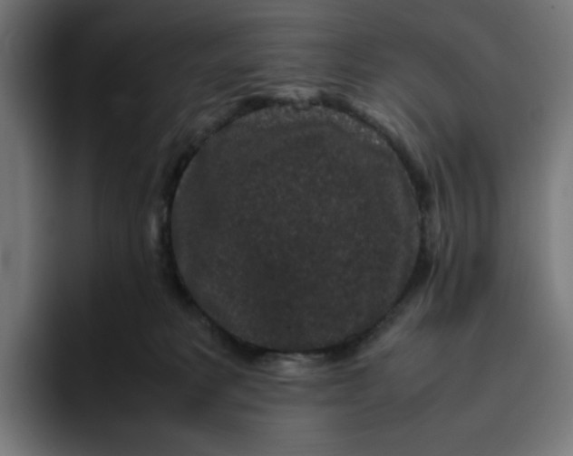 X0000094820229200712071252