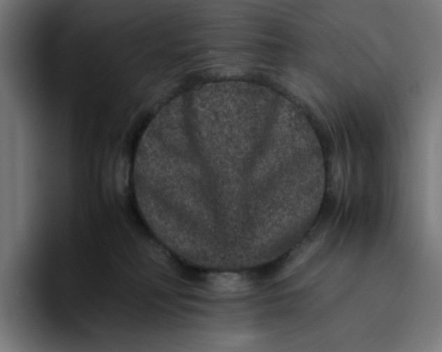 X0000094820230200712071252