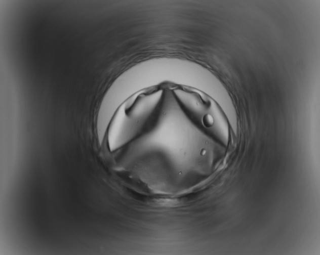 X0000094820233200712071252