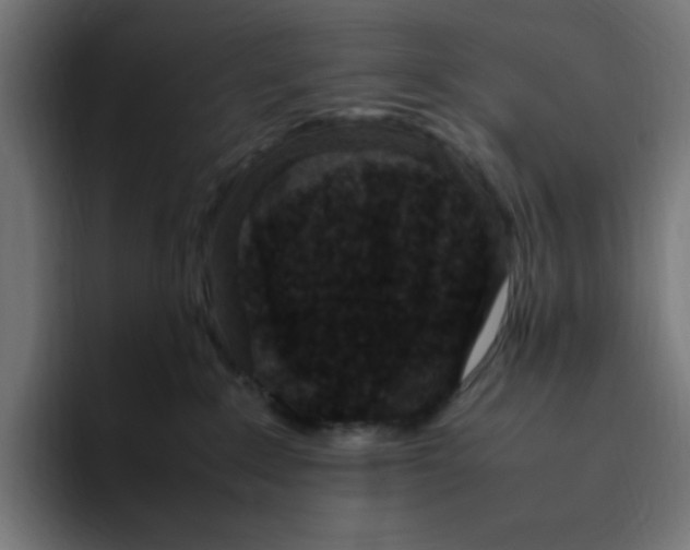 X0000094820235200712071252