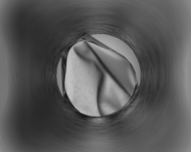 X0000094820237200712071252