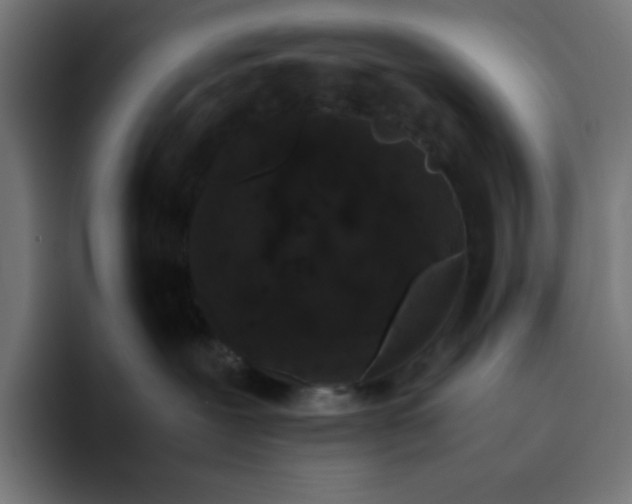 X0000094820239200712071252
