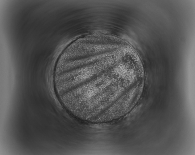 X0000094820241200712071251