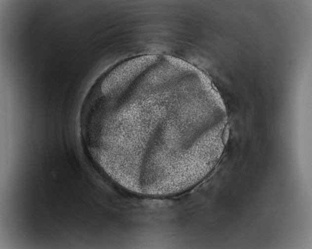 X0000094820242200712071251