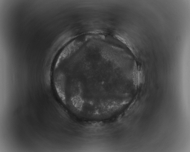 X0000094820243200712071251