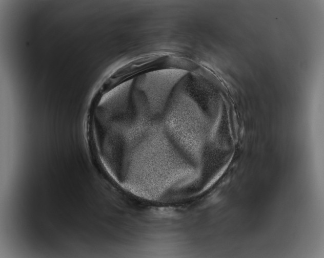 X0000094820244200712071251